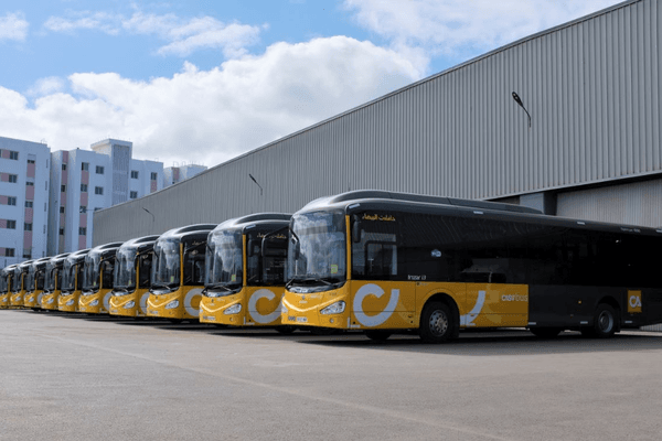 buses