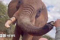 Investigations-have-been-launched-in-response-to-the-Spanish-tourist-who-poured-beer-down-the-trunk