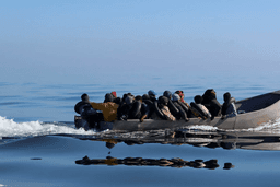 2023-05-04T135639Z_375849685_RC2UM0AG8B56_RTRMADP_3_TUNISIA-MIGRANTS-1707394131