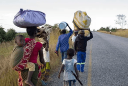 202301afr_mozambique_wr