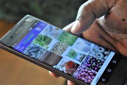 23636c7a-cbbe-4f6d-b64b-a952cd923b3d