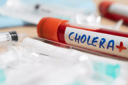 542046-istock-1211350860