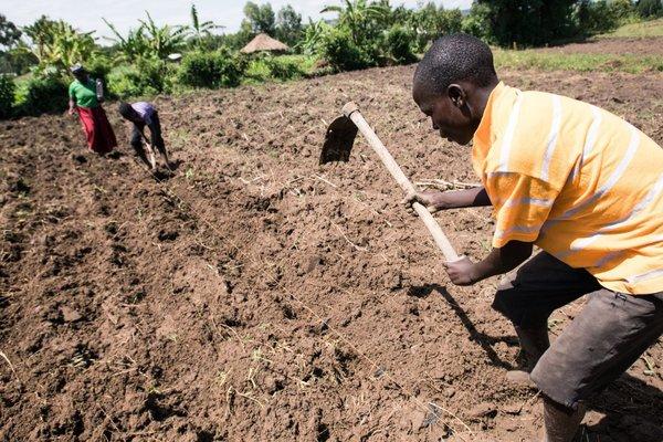 Field_Preparation_Kenya.2e16d0ba.fill-2400x1600-c100