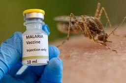 image-197571-1719715763