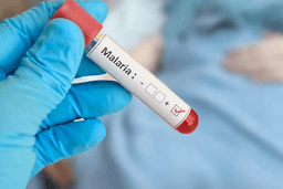 shutterstock_2483188211-scaled-e1752177098245